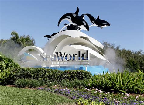 Discover the Wonders of Seaworld's Magical Creatures and Sea Adventures